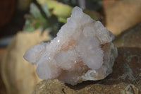 Natural Spirit Amethyst Quartz Clusters x 6 From Boekenhouthoek, South Africa