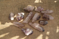 Natural Window Amethyst Quartz Crystals  x 12 From Chiredzi, Zimbabwe - Toprock Gemstones and Minerals 