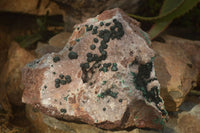 Natural Rare Ball Malachite On Drusy Quartz & Dolomite Matrix  x 1 From Kambove, Congo