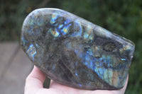 Polished Labradorite Standing Free Forms With Purple & Blue Flash  x 2 From Tulear, Madagascar - Toprock Gemstones and Minerals 