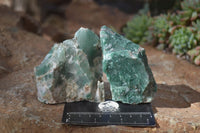 Natural Rough Jade Cobbed Specimens x 12 From Swaziland