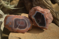 Polished River Agate Nodules  x 12 From Sashe River, Zimbabwe