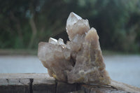 Natural Cascading White Phantom Quartz Clusters  x 3 From Luena, Congo - Toprock Gemstones and Minerals 