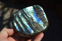 Polished Labradorite Standing Free Forms With Intense Blue & Gold Flash x 3 From Sakoany, Madagascar - TopRock