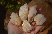 Natural Pineapple Quartz Crystals  x 35 From Madagascar