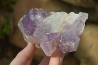 Natural Jacaranda Amethyst Clusters x 2 From Zambia