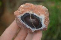 Polished River Agate Nodules  x 12 From Sashe River, Zimbabwe