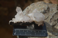 Natural Small Quartz Clusters  x 35 From Madagascar