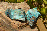 Natural Rough Blue Shattuckite Specimens  x 12 From Namibia - TopRock