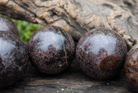 Polished Small Specular Gemmy Garnet Spheres x 9 From Madagascar - TopRock