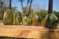 Polished  Green Opal Standing Free Forms  x 6 From Antsirabe, Madagascar