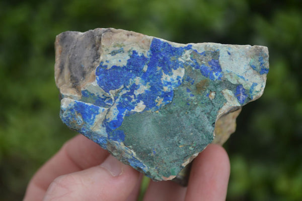 Natural Azurite & Malachite On Dolomite Specimens  x 12 From Southern Africa - Toprock Gemstones and Minerals 