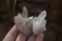 Natural Small Quartz Clusters  x 35 From Madagascar