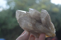 Natural Cascading White Phantom Quartz Clusters  x 3 From Luena, Congo - Toprock Gemstones and Minerals 