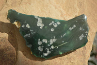 Polished One Side Polished Emerald Mtorolite Plates  x 4 From Zimbabwe - Toprock Gemstones and Minerals 