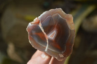 Polished River Agate Nodules  x 12 From Sashe River, Zimbabwe