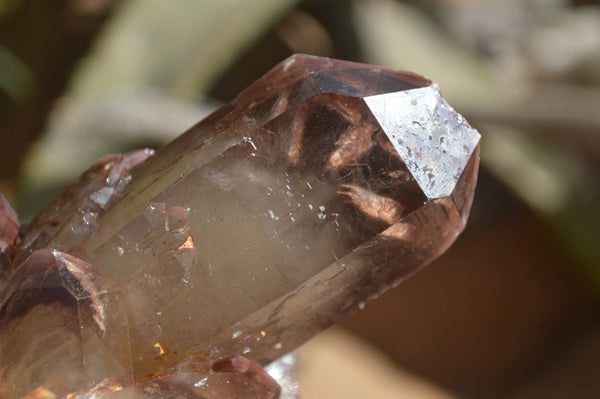 Natural Selected Red Hematoid Quartz Clusters x 4 From Karoi, Zimbabwe