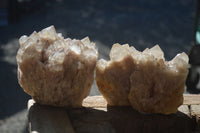 Natural Cascading Smokey Quartz Clusters x 2 From Luena, Congo