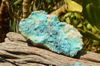 Natural Rough Blue Shattuckite Specimens  x 12 From Namibia - TopRock