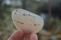 Polished Agate Chalcedony Tumble Stones x 20 From Madagascar