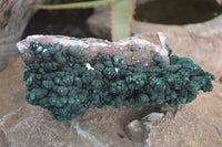 Natural Rare Ball Malachite On Drusi Quartz & Dolomite Matrix  x 2 From Kambove, Congo - Toprock Gemstones and Minerals 