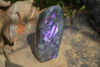 Polished Labradorite Standing Free Forms With Purple & Blue Flash  x 2 From Tulear, Madagascar - Toprock Gemstones and Minerals 