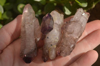 Natural Window Amethyst Quartz Crystals  x 12 From Chiredzi, Zimbabwe - Toprock Gemstones and Minerals 