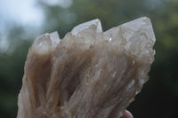 Natural Cascading White Phantom Quartz Clusters  x 3 From Luena, Congo - Toprock Gemstones and Minerals 