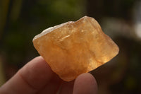 Natural Honey Aragonite Etched & Cobbed Pieces  x 35 From Namibia