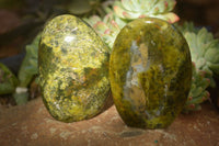 Polished  Green Opal Standing Free Forms  x 6 From Antsirabe, Madagascar