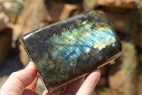 Polished Labradorite Standing Free Forms With Intense Blue & Gold Flash x 3 From Sakoany, Madagascar - TopRock