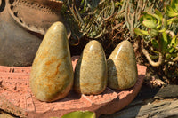 Polished Rare Oceanic Fossil Standing Free Forms  x 3 From Madagascar - TopRock