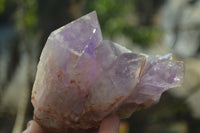 Natural Jacaranda Amethyst Clusters x 2 From Zambia