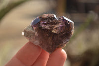 Natural Window Amethyst Quartz Crystals  x 12 From Chiredzi, Zimbabwe - Toprock Gemstones and Minerals 