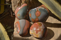 Polished Polychrome Jasper Domed Pieces  x 4 From Mahajanga, Madagascar