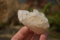 Natural Pineapple Quartz Crystals  x 35 From Madagascar