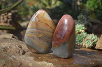 Polished Polychrome / Picasso Jasper Standing Free Forms  x 3 From Madagascar