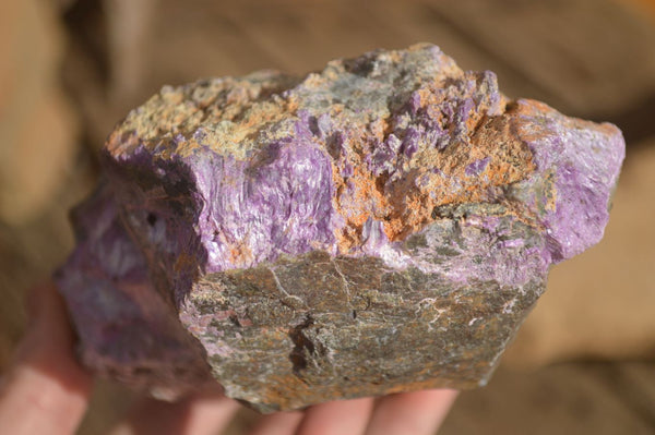 Natural Rough Stichtite Specimens x 2 From Barberton, South Africa