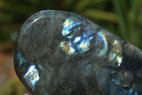 Polished Labradorite Standing Free Forms With Purple & Blue Flash  x 2 From Tulear, Madagascar - Toprock Gemstones and Minerals 