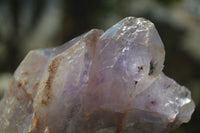 Natural Jacaranda Amethyst Clusters x 2 From Zambia