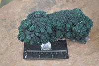 Natural Rare Ball Malachite On Drusi Quartz & Dolomite Matrix  x 2 From Kambove, Congo - Toprock Gemstones and Minerals 