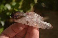 Natural Window Amethyst Quartz Crystals  x 12 From Chiredzi, Zimbabwe - Toprock Gemstones and Minerals 