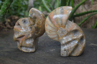 Polished Unique Fossil Matrix Sculptures  x 2 From Madagascar - Toprock Gemstones and Minerals 