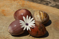 Polished Petrified Red Podocarpus Wood Eggs x 4 From Mahajanga, Madagascar - TopRock