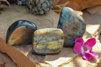 Polished Labradorite Standing Free Forms With Intense Blue & Gold Flash x 3 From Sakoany, Madagascar - TopRock