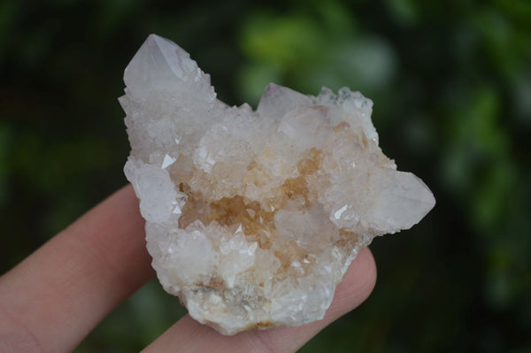 Natural Spirit Amethyst / Ametrine Quartz Clusters  x 12 From Boekenhouthoek, South Africa - Toprock Gemstones and Minerals 