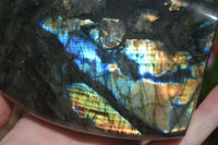 Polished Labradorite Standing Free Forms With Purple & Blue Flash  x 2 From Tulear, Madagascar - Toprock Gemstones and Minerals 