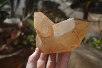 Polished Double Terminated Smokey Quartz Crystals  x 2 From Southern Africa