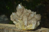 Natural Large White Phantom Smokey Quartz Cluster  x 1 From Luena, Congo - Toprock Gemstones and Minerals 