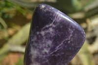 Polished Gem Lithium Mica Lepidolite Standing Free Forms  x 2 From Zimbabwe - Toprock Gemstones and Minerals 